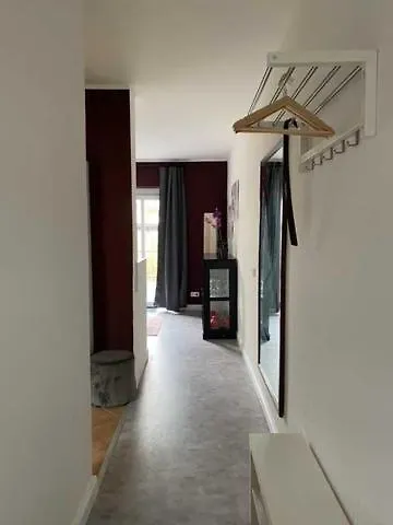 Strandlaeufer